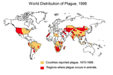 MAPA DEL MUNDO CON LA DISTRIBUCIÓN DE LA PESTE